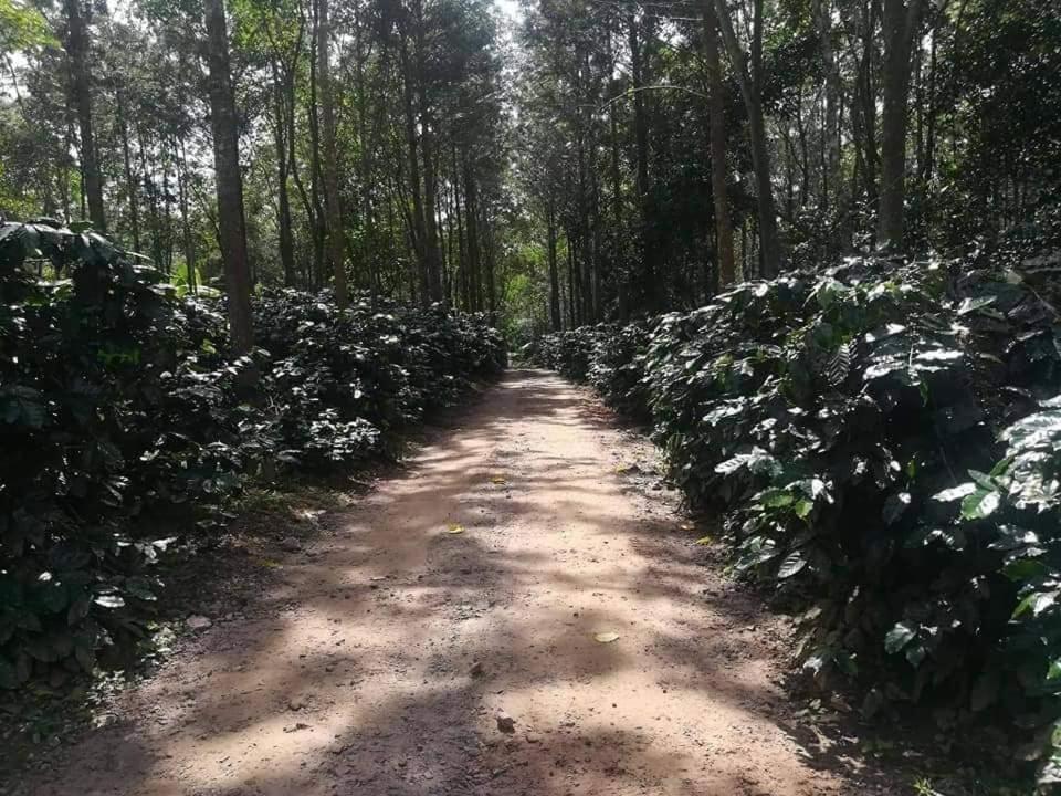 Hotel Shwe Nann Htike Pyin Oo Lwin Εξωτερικό φωτογραφία
