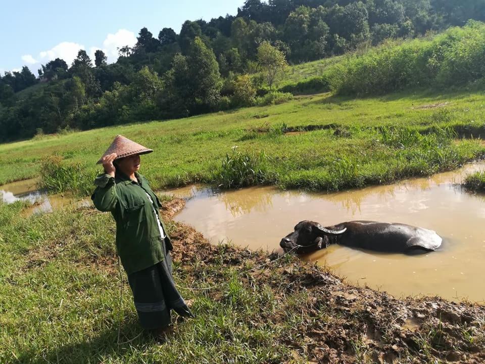 Hotel Shwe Nann Htike Pyin Oo Lwin Εξωτερικό φωτογραφία